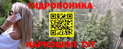меф Бийск